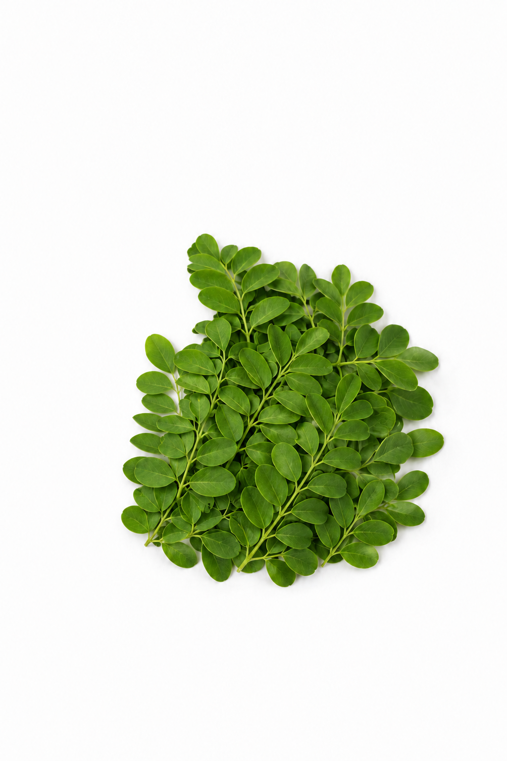 Moringa
